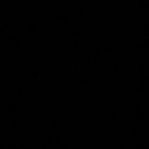 Meet your Posher, Jesus